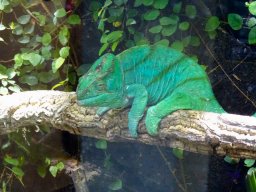 Haus des Meeres 13.03.2026